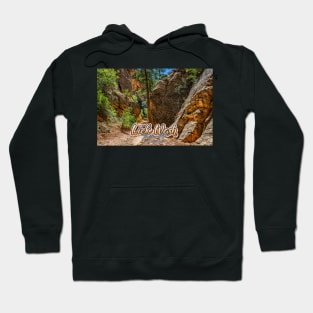 Lick Wash Trail Hike Hoodie